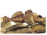Illustration of Long-spined Sea Scorpion (Taurulus bubalis (#1054)