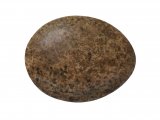 Illustration of Merlin egg (Falco columbarius) (#1727)