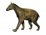 Illustration of Moropus (#0591)