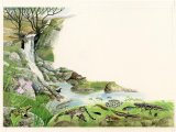 Illustration of Mountain Stream (#3215)