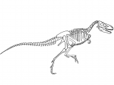 Illustration of Nanotyrannus (#0207)
