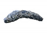 Illustration of Otter Scat (#2605)
