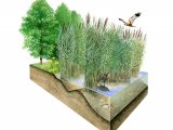 Illustration of Ouse Fen (#3744)