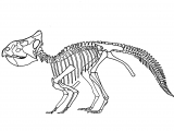Illustration of Letoceratops (#3114)