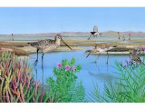 Illustration of Morro Bay California (#3783)