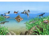 Illustration of Morro Bay Sea Life (#3784)