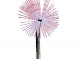 Illustration of Peacock Worm (Sabella pavonina) (#2385)