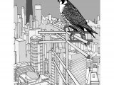 Illustration of Peregrin Falcon (Falco peregrinus) over Chicago (#2945)