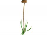 Illustration of Psilocybe pratensis (#4268)