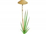 Illustration of Psilocybe strictipes (#4267)