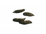Illustration of Rat Droppings (#2796)