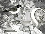Illustration of Sardinian Warbler (Sylvia melanocephala) (#2943)