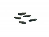 Illustration of Shrew droppings (#2797)
