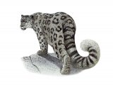 Illustration of Snow Leopard (Panthera uncia) (#3638)