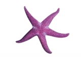 Illustration of Starfish (Henricia oculata) (#1862)