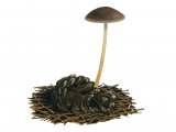 Illustration of Strobilurus tenacellus (Pine Conecap) (#3936)