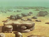 Illustration of Stromatolites (#2857)