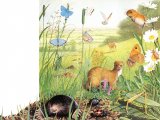 Illustration of Summer Country Scene (#2753)