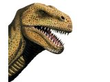 Illustration of Tyrannosaurus Rex (#0663)
