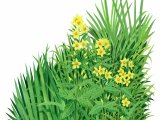 Illustration of Waterside Plants (#4084)