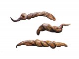 Illustration of Weasel/Stoat Droppings (#3664)