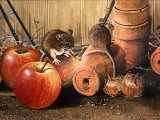 Illustration of Wood Mice in Potting Shed (#0285)
