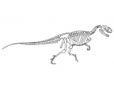 Illustration of Yangchuanosaurus (#0213)