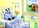 Illustration of Badger and Cow (#2004)