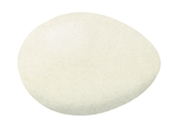 Illustration of Barn Owl egg (Tyto alba) (#3281)