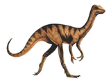 Illustration of Compsognathus (#0662)