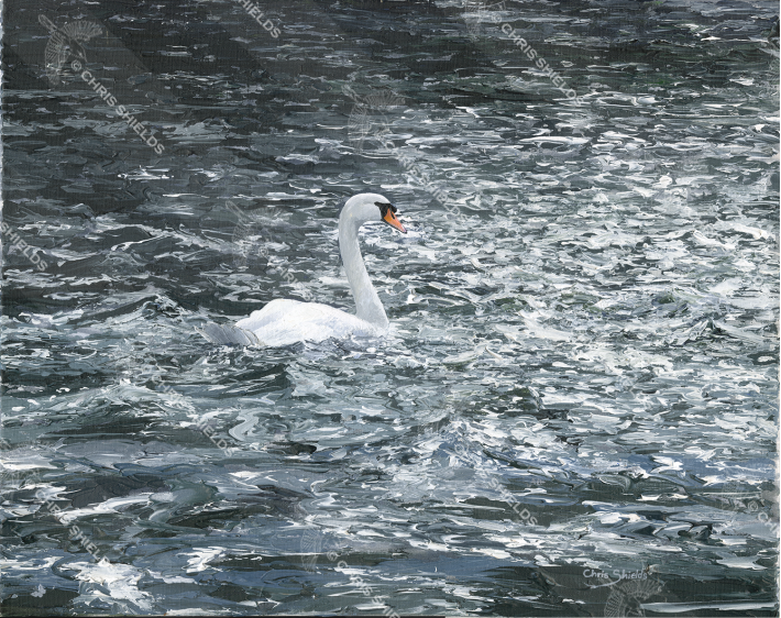 Painting of Swan in Turbulent Water 