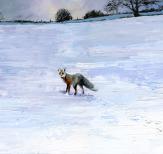 Painting of Fox on West Pennine Winter Moor